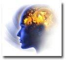 Brain