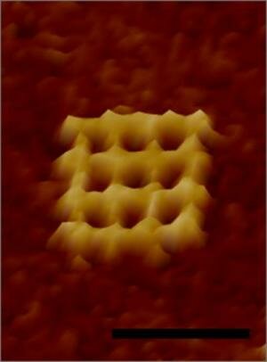 Waffle