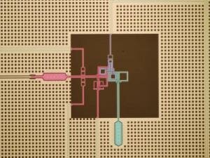 NIST