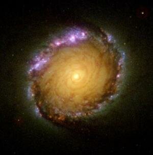 Nuclear galactic rings