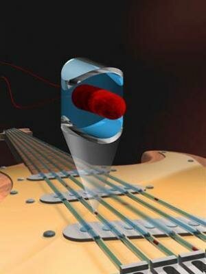Single bacterium
