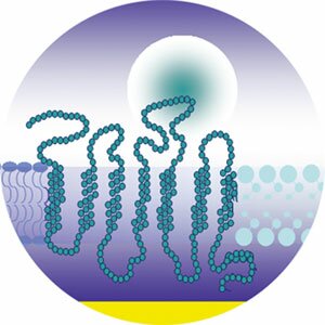 Synthetic membrane