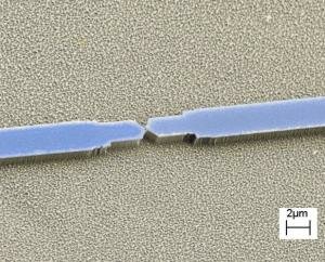 Two electrical leads